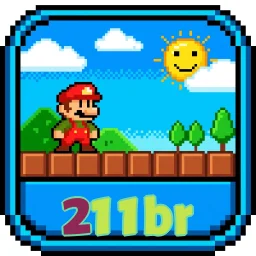 211br