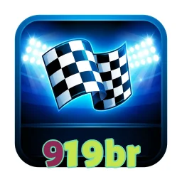 919br